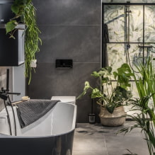 Plants for the bathroom-5