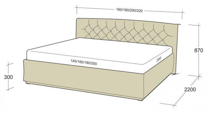 king size model length and width