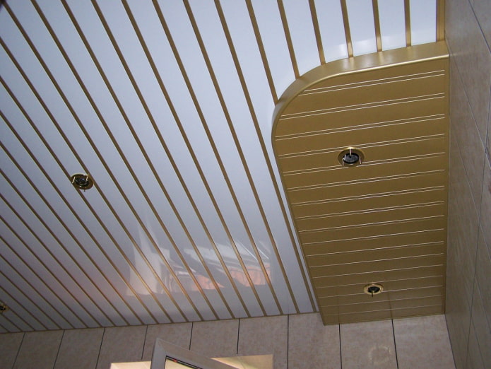 two-level slatted suspended structure