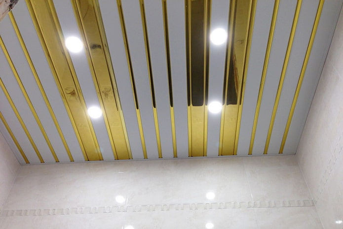 slatted suspended structure with inserts