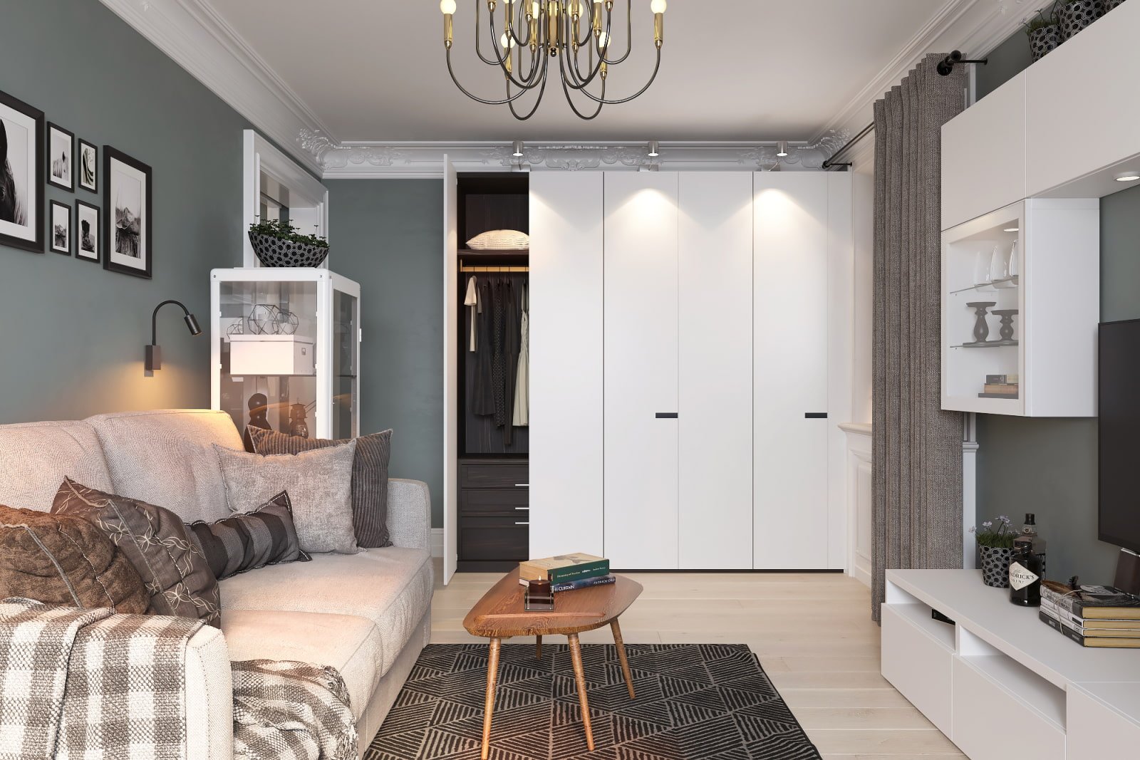 wardrobe in the living room