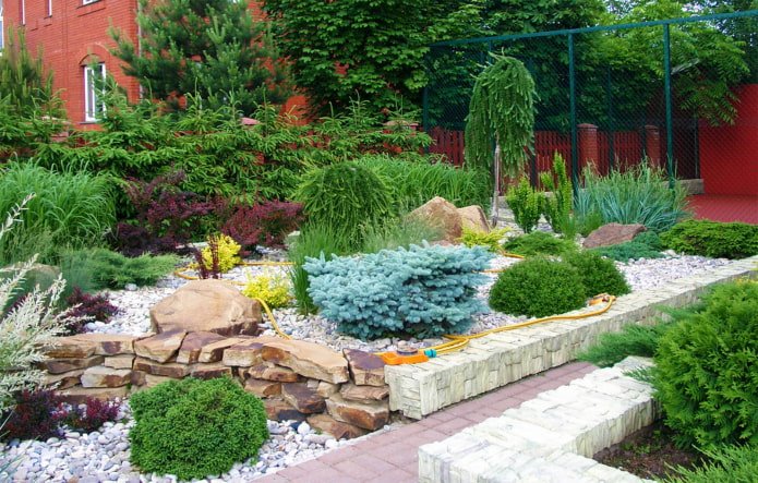 Rock garden with conifers