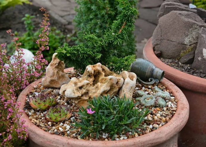 Rock garden in a pot