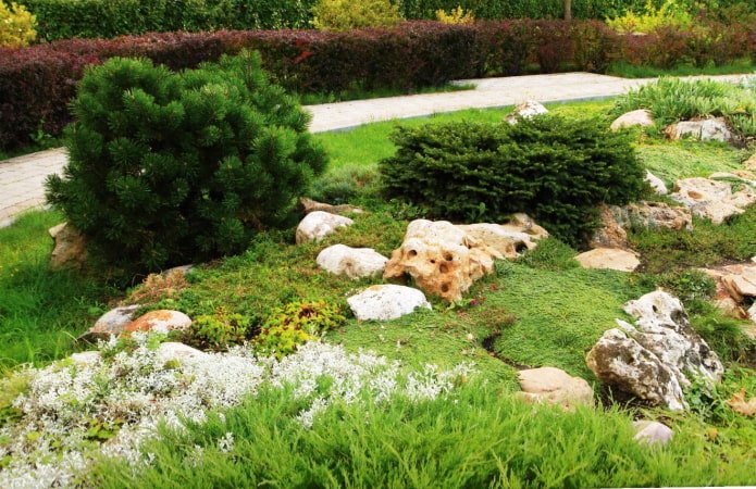 Green rock garden