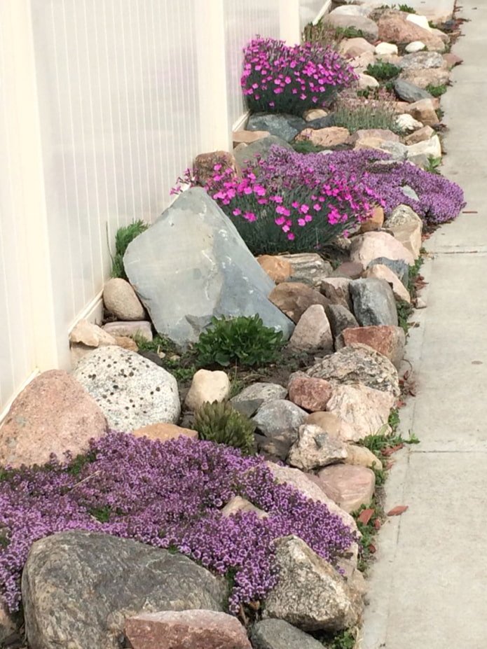 Rock garden near the fence