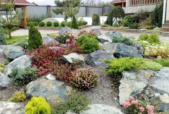 Flowers in a rock garden