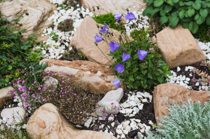 Flower rock garden