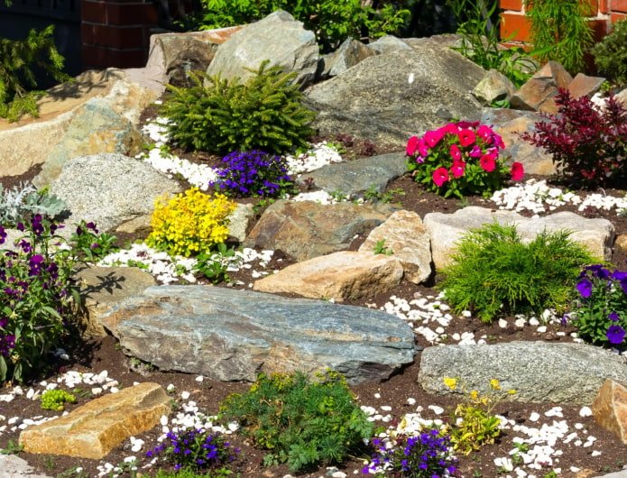 Alpine rock garden