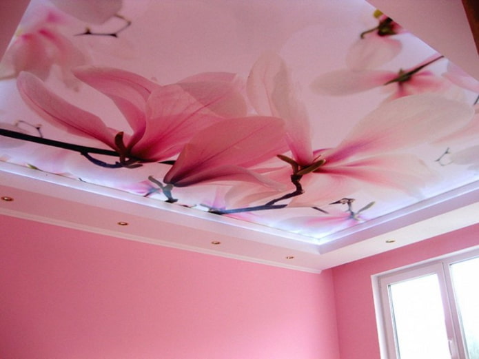 pink ceiling structure with photo printing
