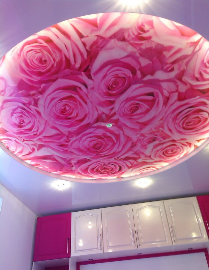 photo printing on the ceiling roses