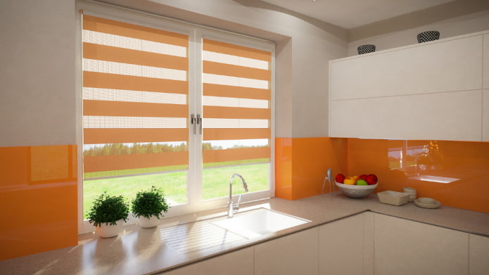 roller blind day-night