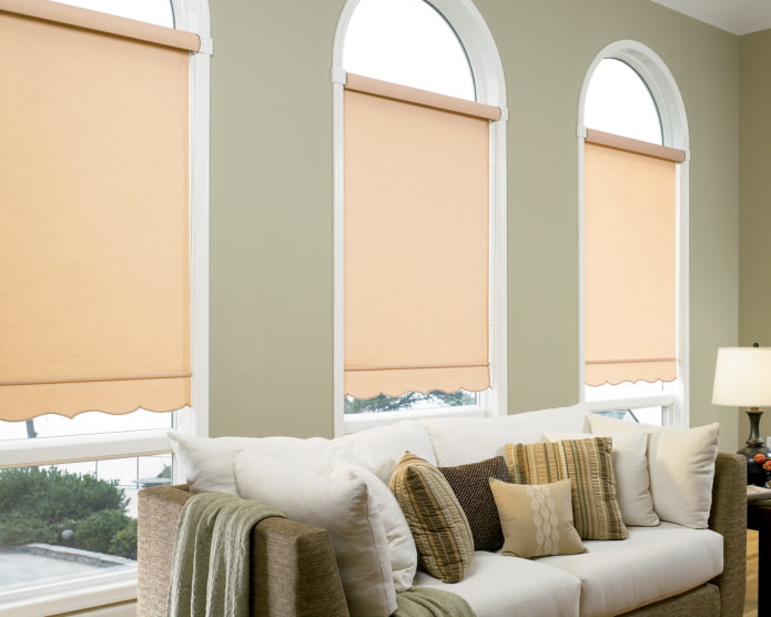 roller blinds on an arched window