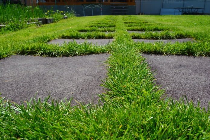Path of rubber tiles