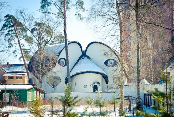 house with eyes in Sestroretsk
