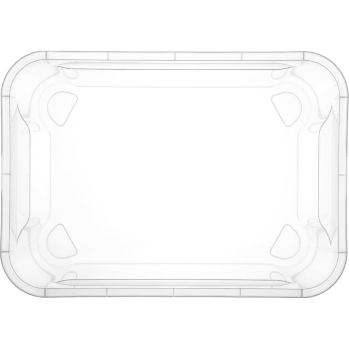 Container