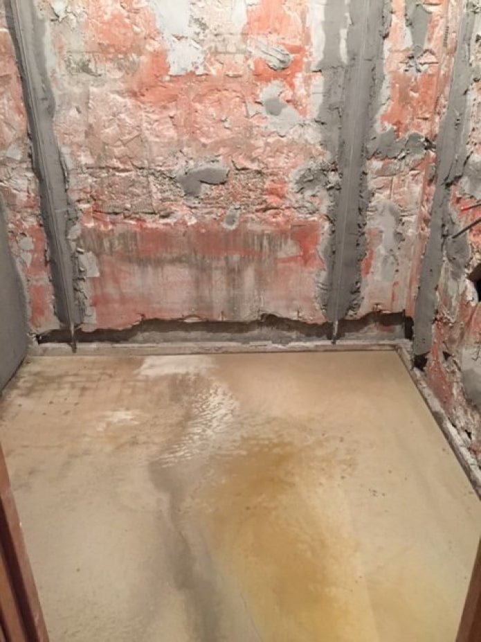 Floor