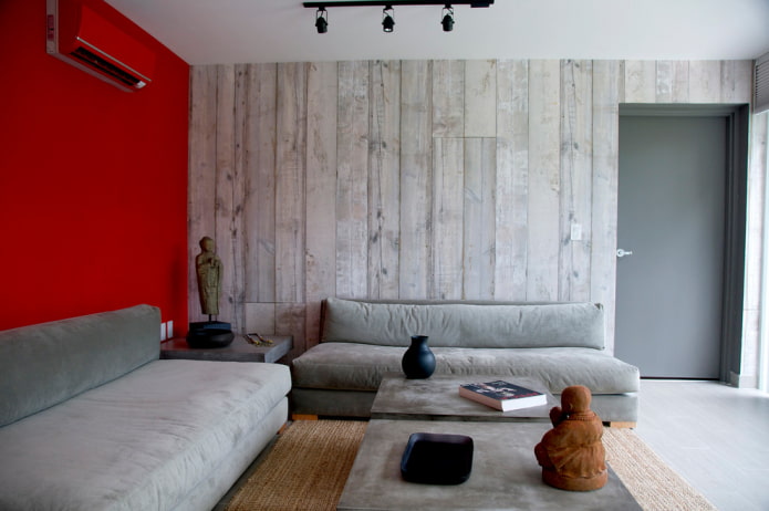 matte gray door in the living room interior