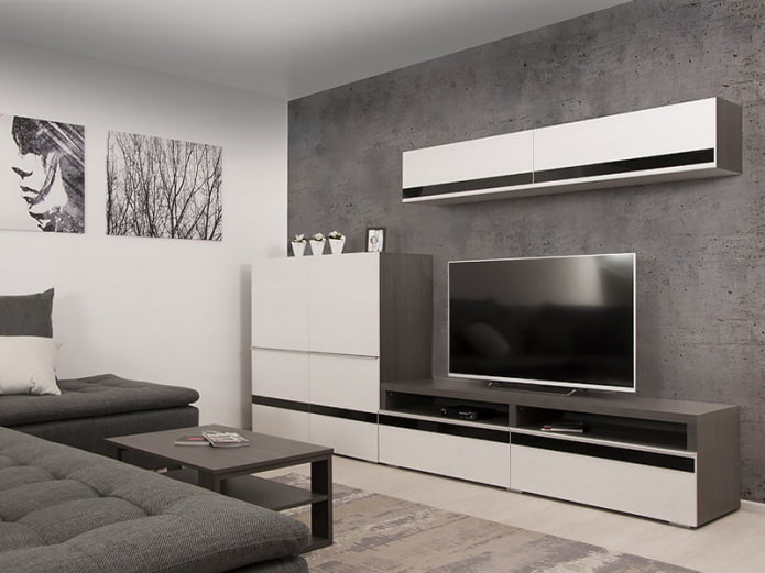 wardrobe in the interior of the hall in the minimalist style