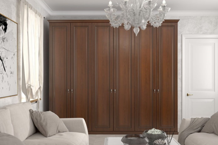 wardrobe in the interior of the hall