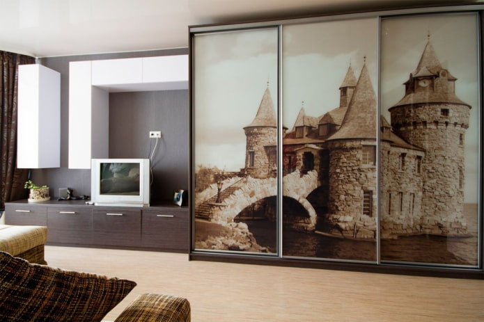wardrobe in the living room interior