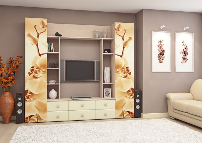 wardrobe in the living room interior