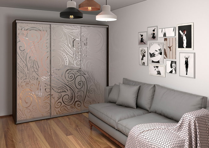 wardrobe in the living room interior