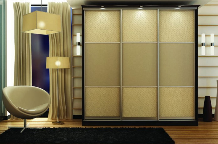 wardrobe in the interior of the hall
