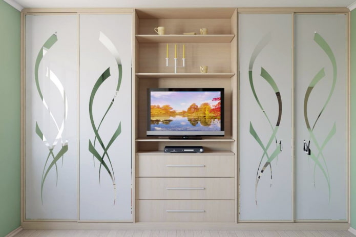 wardrobe in the living room interior