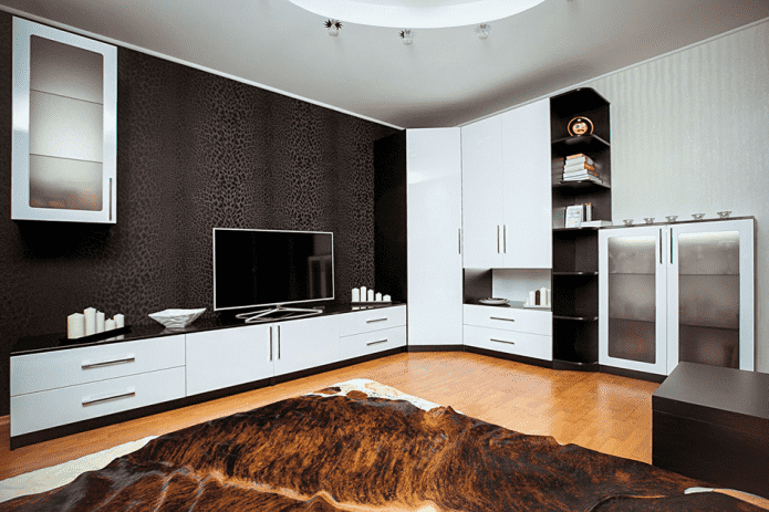 wardrobe in the interior of the hall in a modern style