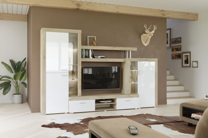 wardrobe in the interior of the hall in a modern style
