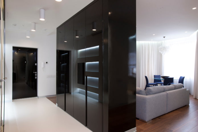 wardrobe in the interior of the hallway in a modern style