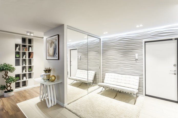 wardrobe in the interior of the hallway in a modern style