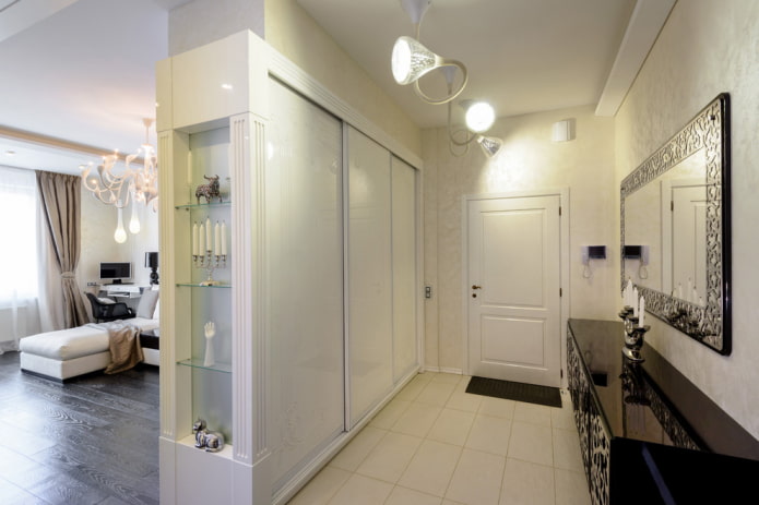built-in wardrobe in the interior of the hallway
