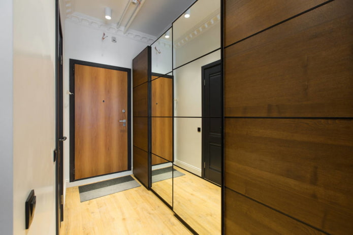 wardrobe in the interior of the hallway in a modern style