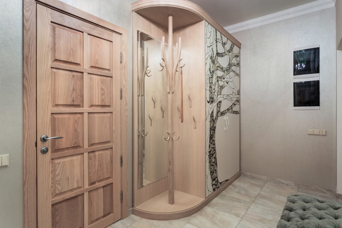 cabinet design in the hallway interior