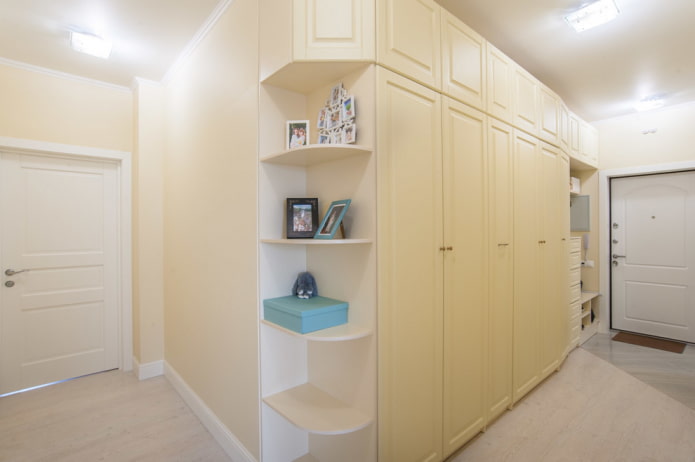 cabinet design in the hallway interior