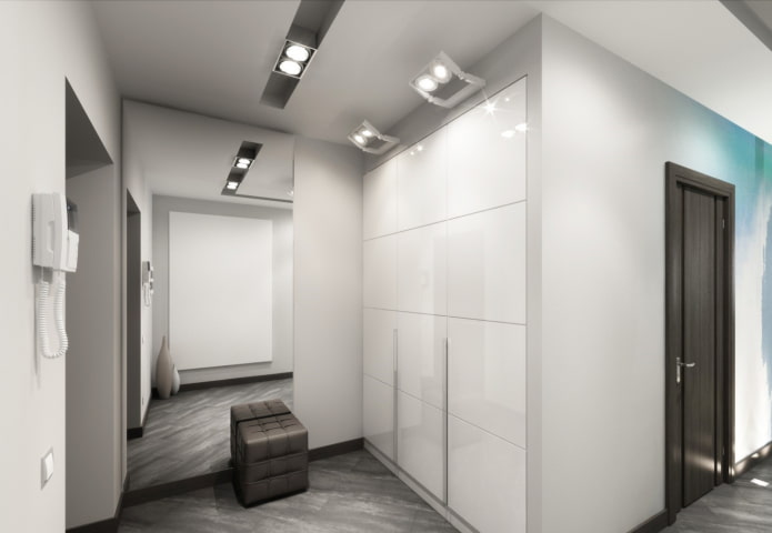 wardrobe in the interior of the hallway in the style of minimalism