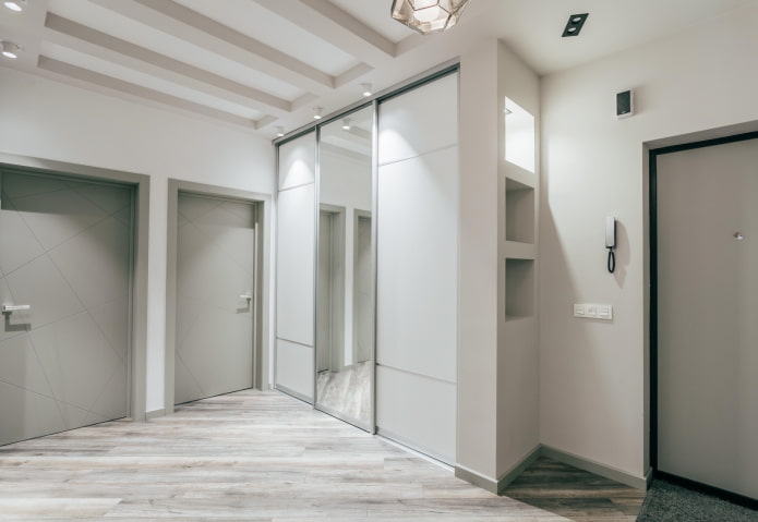 wardrobe in the interior of the hallway in the style of minimalism