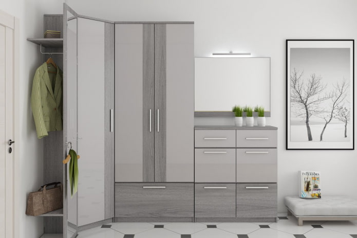 modular wardrobe in the interior of the hallway