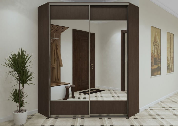trapezoid wardrobe in the hallway interior