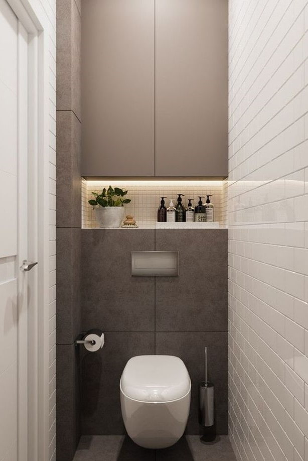 hidden cabinet in the toilet interior