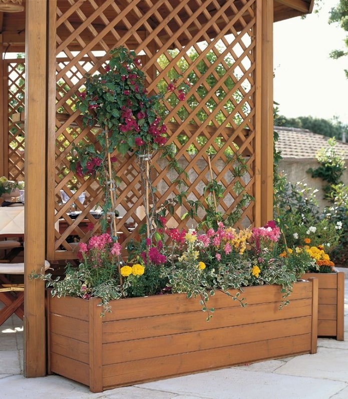 trellis flowerbed