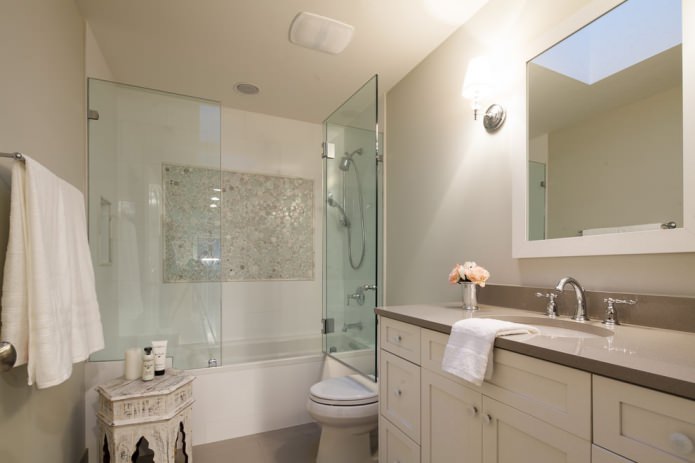 Glass door-partition for the bathroom