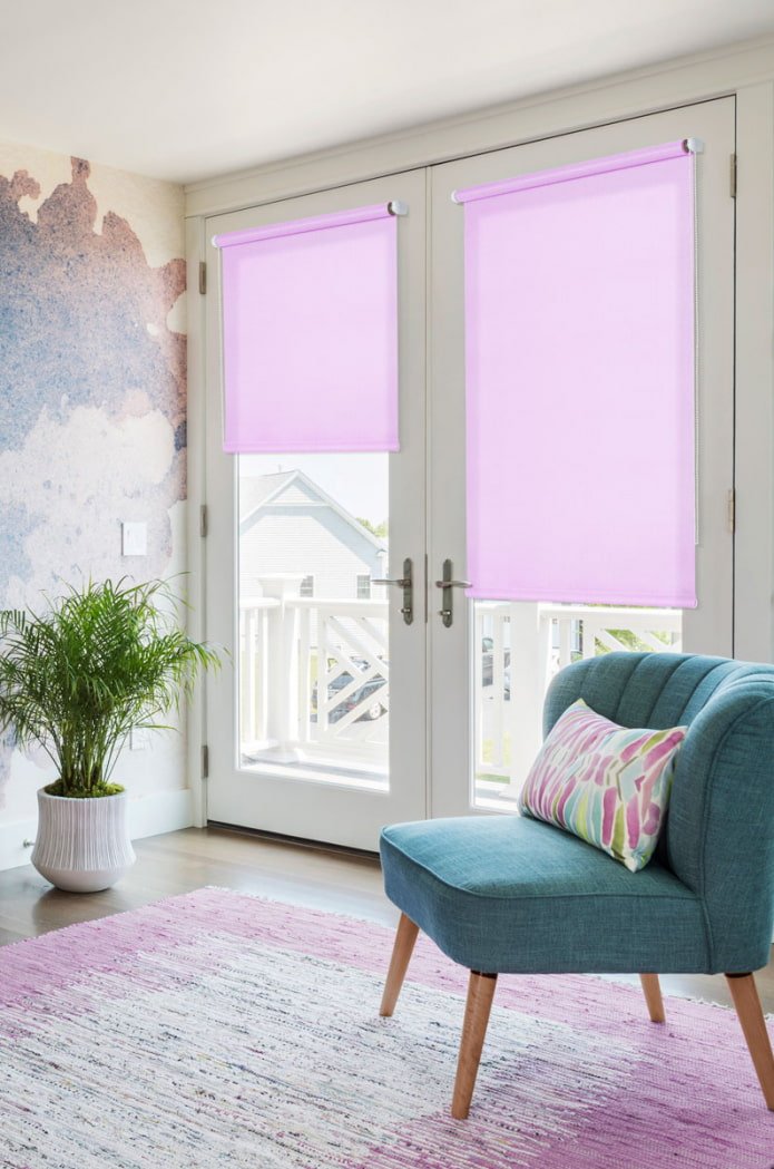 roller blinds on the door in the interior