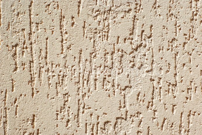 light bark beetle plaster