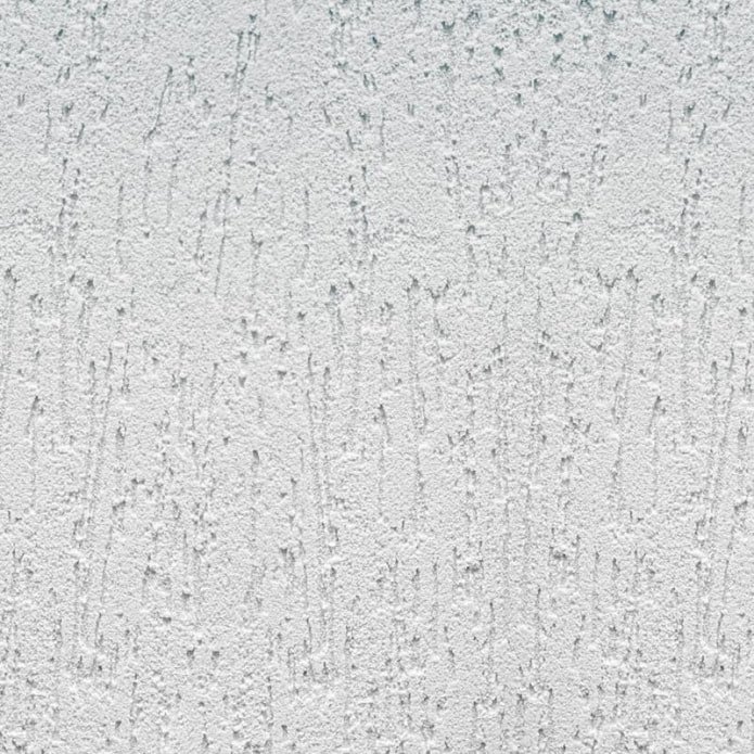 light gray bark beetle
