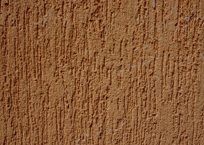small bark beetle plaster