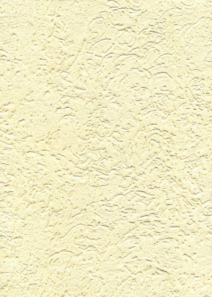 applying bark beetle plaster