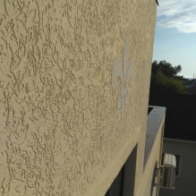 Decorative plaster bark beetle: detailed guide-3