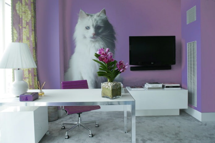 cat on the wall in the office